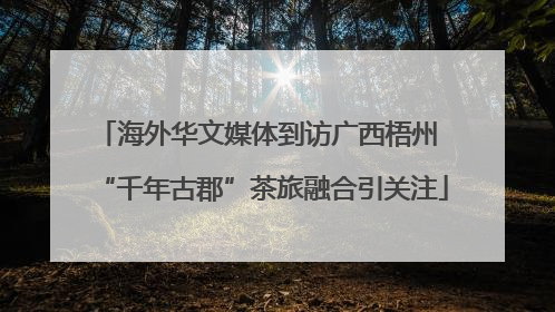 海外华文媒体到访广西梧州 “千年古郡”茶旅融合引关注