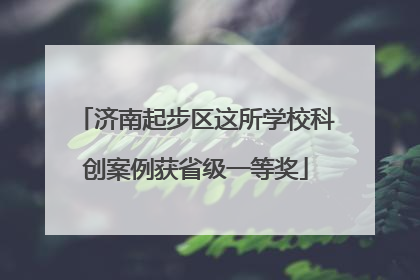 济南起步区这所学校科创案例获省级一等奖