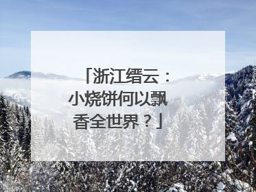浙江缙云：小烧饼何以飘香全世界？