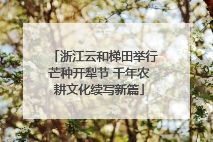 浙江云和梯田举行芒种开犁节 千年农耕文化续写新篇