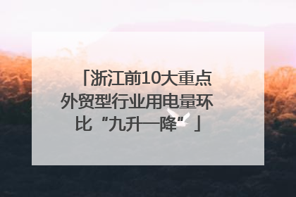 浙江前10大重点外贸型行业用电量环比“九升一降”
