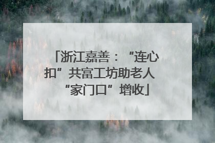 浙江嘉善：“连心扣”共富工坊助老人“家门口”增收