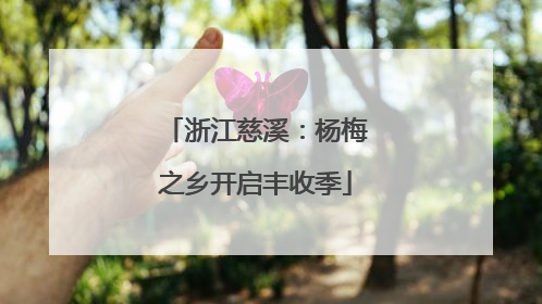 浙江慈溪：杨梅之乡开启丰收季