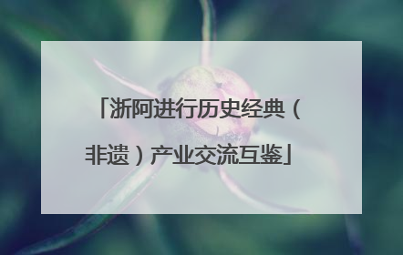 浙阿进行历史经典（非遗）产业交流互鉴