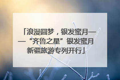 浪漫圆梦，银发蜜月——“齐鲁之星”银发蜜月新疆旅游专列开行