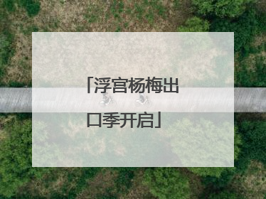 浮宫杨梅出口季开启