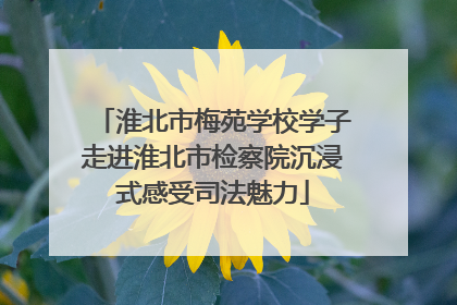 淮北市梅苑学校学子走进淮北市检察院沉浸式感受司法魅力