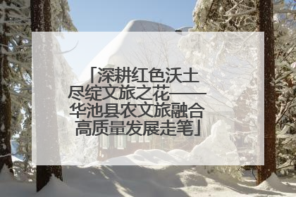 深耕红色沃土 尽绽文旅之花——华池县农文旅融合高质量发展走笔