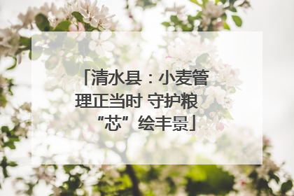 清水县：小麦管理正当时 守护粮“芯”绘丰景