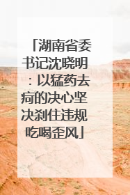 湖南省委书记沈晓明：以猛药去疴的决心坚决刹住违规吃喝歪风