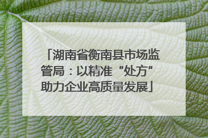 湖南省衡南县市场监管局：以精准“处方”助力企业高质量发展