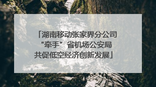 湖南移动张家界分公司“牵手”省机场公安局 共促低空经济创新发展