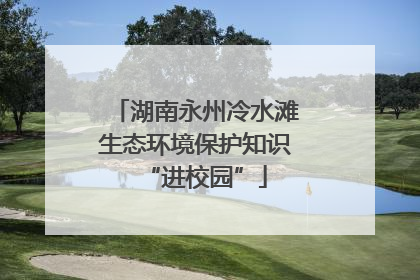 湖南永州冷水滩生态环境保护知识“进校园”