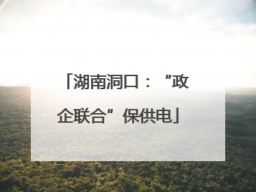 湖南洞口：“政企联合”保供电