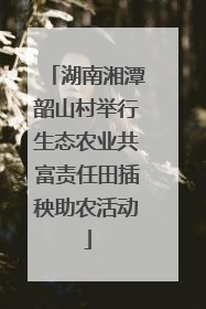 湖南湘潭韶山村举行生态农业共富责任田插秧助农活动