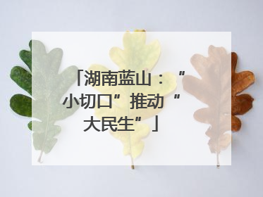 湖南蓝山：“小切口”推动“大民生”