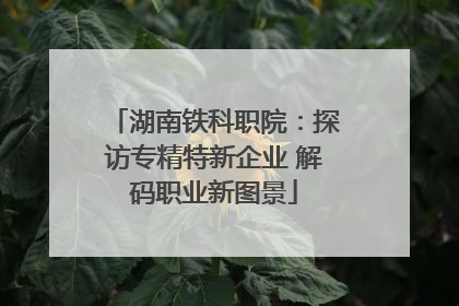 湖南铁科职院：探访专精特新企业 解码职业新图景