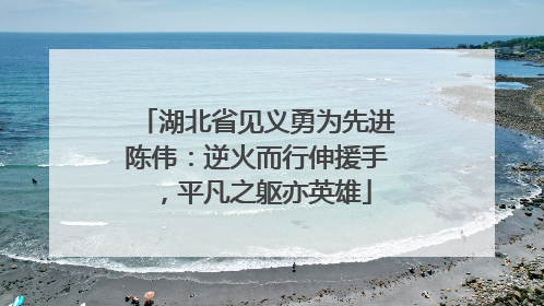 湖北省见义勇为先进陈伟：逆火而行伸援手，平凡之躯亦英雄