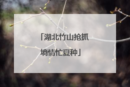 湖北竹山抢抓墒情忙夏种