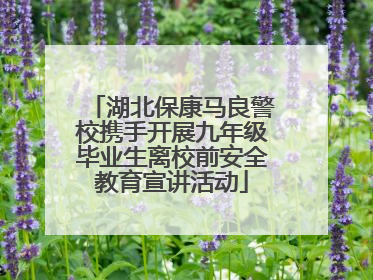 湖北保康马良警校携手开展九年级毕业生离校前安全教育宣讲活动