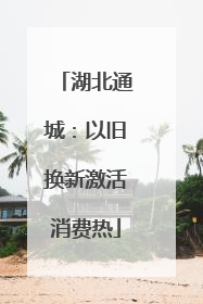 湖北通城：以旧换新激活消费热
