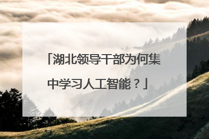 湖北领导干部为何集中学习人工智能？