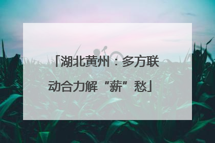 湖北黄州：多方联动合力解“薪”愁