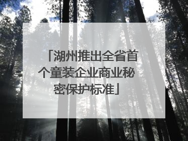 湖州推出全省首个童装企业商业秘密保护标准