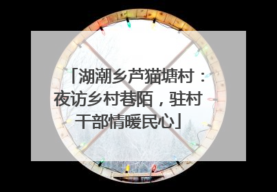 湖潮乡芦猫塘村：夜访乡村巷陌，驻村干部情暖民心