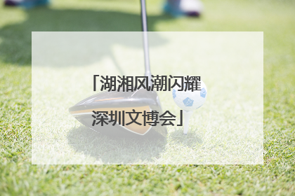 湖湘风潮闪耀深圳文博会