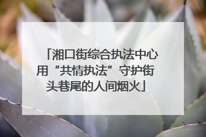 湘口街综合执法中心用“共情执法”守护街头巷尾的人间烟火