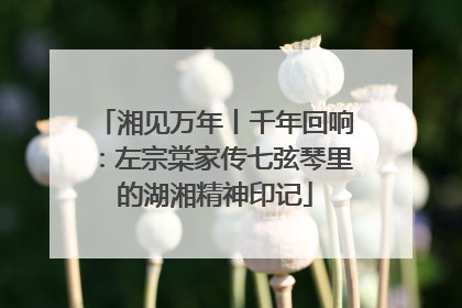 湘见万年丨千年回响：左宗棠家传七弦琴里的湖湘精神印记