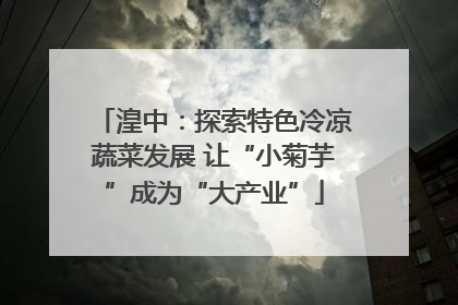 湟中：探索特色冷凉蔬菜发展 让“小菊芋”成为“大产业”