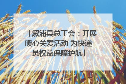 溆浦县总工会：开展暖心关爱活动 为快递员权益保障护航