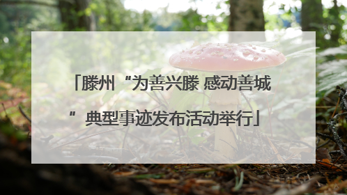 滕州“为善兴滕 感动善城”典型事迹发布活动举行