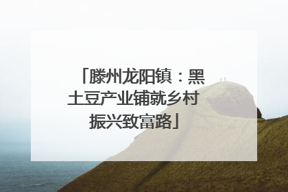 滕州龙阳镇：黑土豆产业铺就乡村振兴致富路
