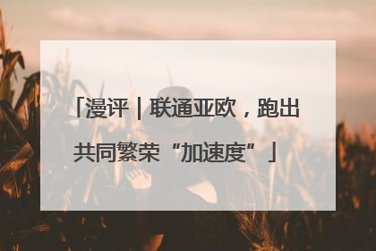 漫评｜联通亚欧，跑出共同繁荣“加速度”