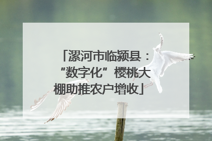 漯河市临颍县：“数字化”樱桃大棚助推农户增收