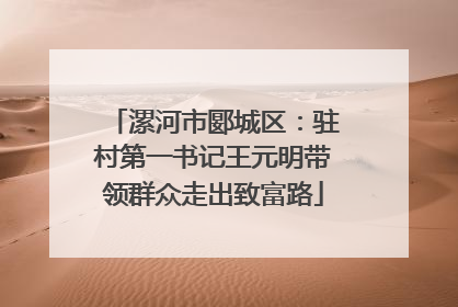 漯河市郾城区：驻村第一书记王元明带领群众走出致富路