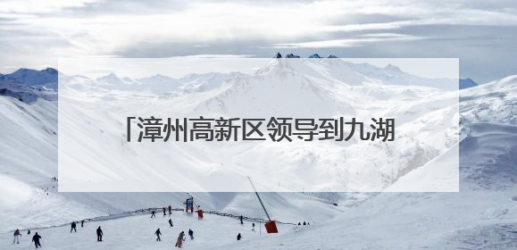 漳州高新区领导到九湖镇调研基层党建工作