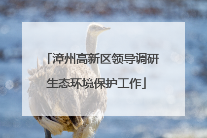 漳州高新区领导调研生态环境保护工作