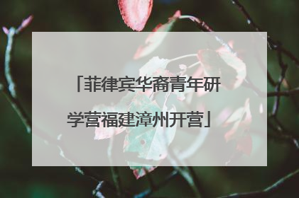 菲律宾华裔青年研学营福建漳州开营