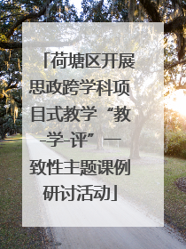 荷塘区开展思政跨学科项目式教学“教-学-评”一致性主题课例研讨活动