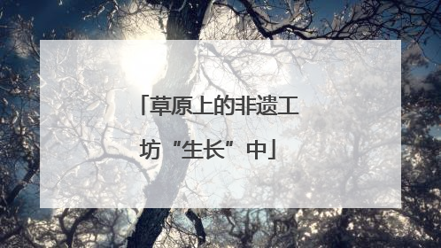 草原上的非遗工坊“生长”中