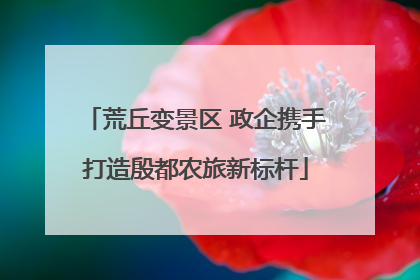 荒丘变景区 政企携手打造殷都农旅新标杆