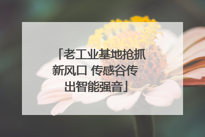 老工业基地抢抓新风口 传感谷传出智能强音