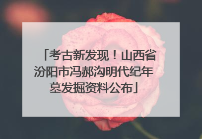 考古新发现！山西省汾阳市冯郝沟明代纪年墓发掘资料公布