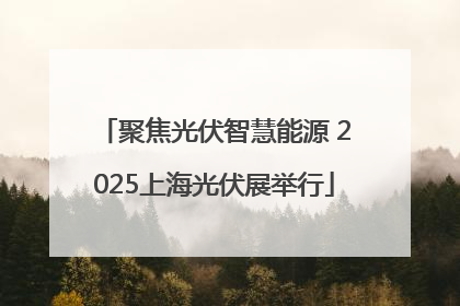 聚焦光伏智慧能源 2025上海光伏展举行