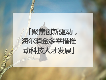 聚焦创新驱动，海尔消金多举措推动科技人才发展