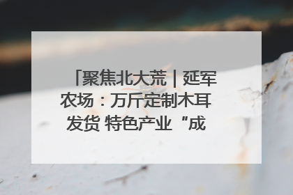 聚焦北大荒｜延军农场：万斤定制木耳发货 特色产业“成绩单”亮眼